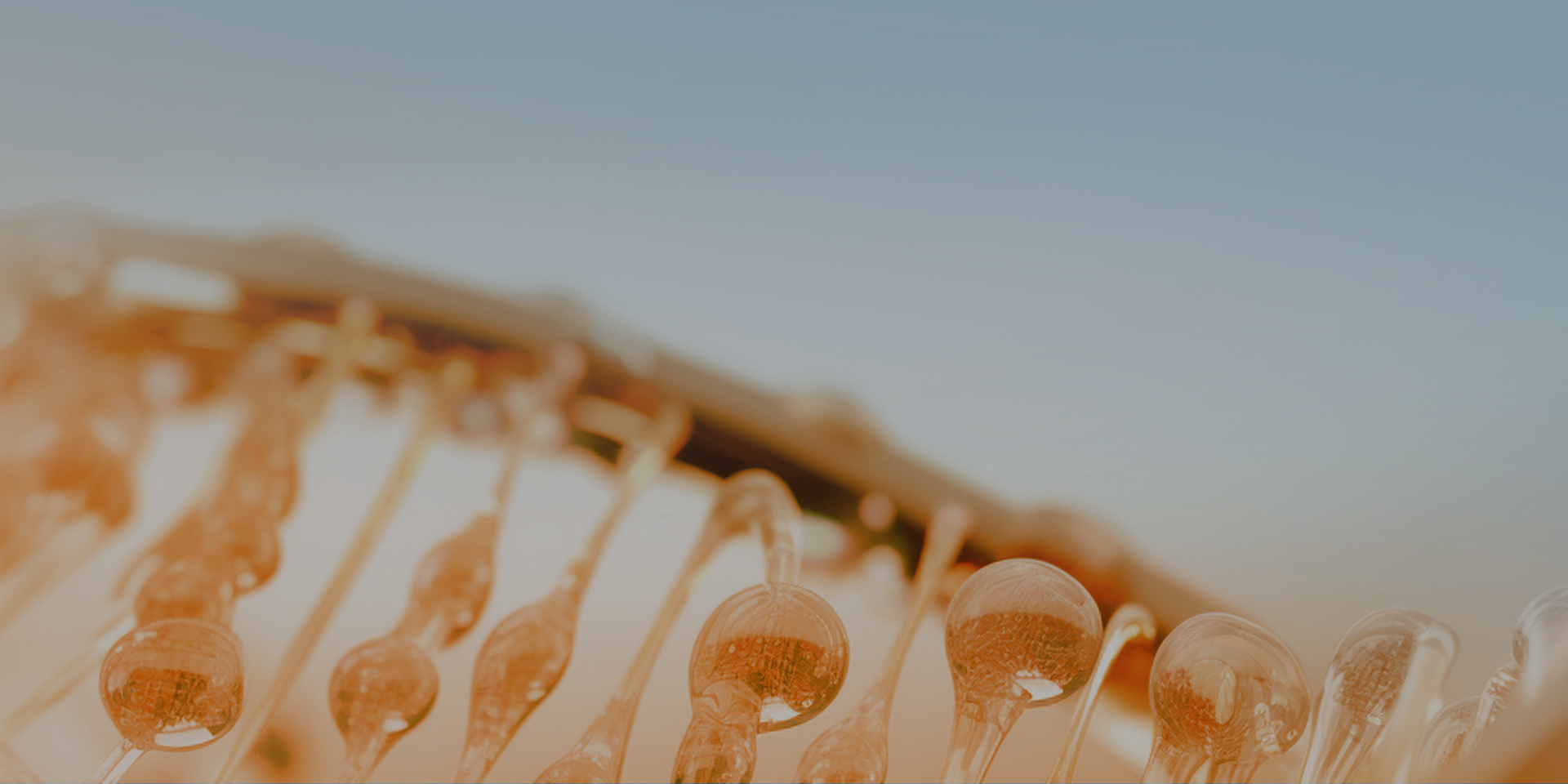 banner1.jpg